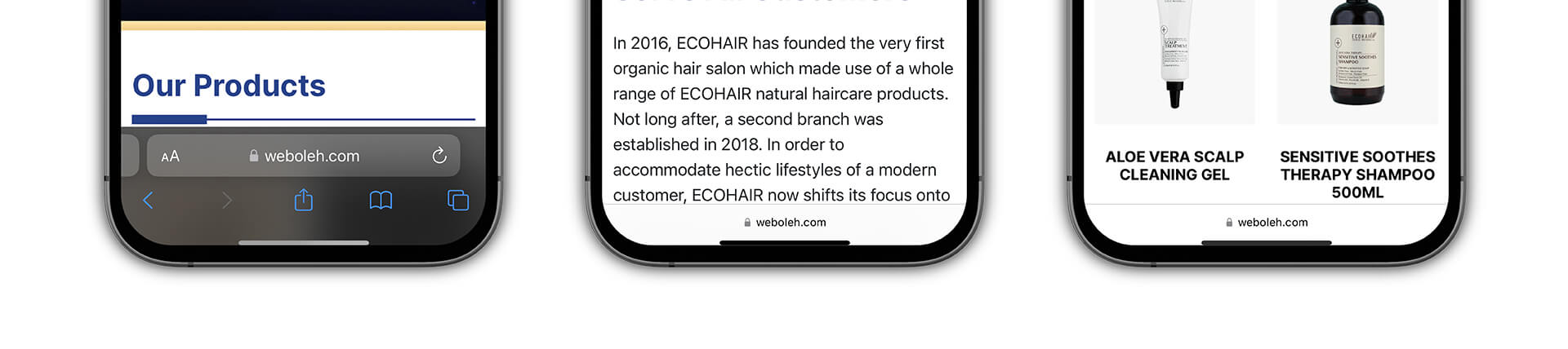 Weboleh Web Design Ecohair Malaysia